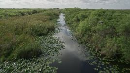 5K aerial stock footage of following river with birds flying along the surface, Florida Everglades, Florida Aerial Stock Footage | AX0030_107E