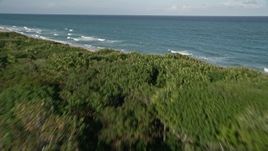 5K aerial stock footage of John D. MacArthur Beach State Park, reveal coast, Riviera Beach, Florida Aerial Stock Footage | AX0032_122