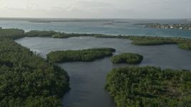 5K aerial stock footage of flying over mangroves, Saint Lucie Inlet Preserve State Park, Stuart, Florida Aerial Stock Footage | AX0032_155