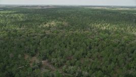 5K aerial stock footage fly over forest, La Belle, Florida Aerial Stock Footage | AX0034_061