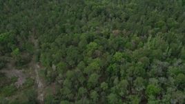 5K aerial stock footage of flying over forests and clearings, La Belle, Florida Aerial Stock Footage | AX0034_062