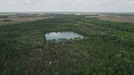 5K aerial stock footage of flying over forest and a lake, La Belle, Florida Aerial Stock Footage | AX0034_063
