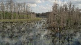 5K aerial stock footage of flying around trees in a swamp, Orlando, Florida Aerial Stock Footage | AX0035_047E