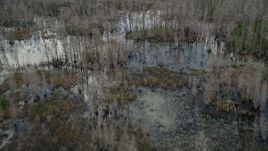 5K aerial stock footage fly over swamp and leafless trees, Orlando, Florida Aerial Stock Footage | AX0035_051E