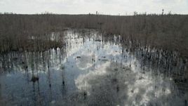 5K aerial stock footage fly over water and bare trees in a swamp, Orlando, Florida Aerial Stock Footage | AX0035_055E