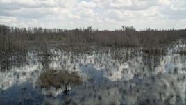 5K aerial stock footage fly low over a swamp in Orlando, Florida Aerial Stock Footage | AX0035_070E