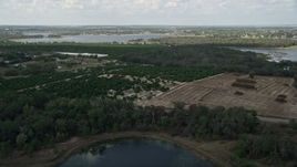 5K aerial stock footage of passing orchard and fields on the shore of Johns Lake, Florida Aerial Stock Footage | AX0035_100
