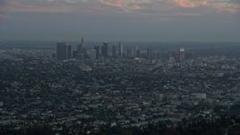 7.6K aerial stock footage flying over hilltop palm trees to reveal Downtown Los Angeles, California at twilight Aerial Stock Footage | AX0162_106