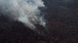 4K aerial stock footage of plumes of smoke rising from a fire in the forest, Willow Springs, Illinois Aerial Stock Footage | AX0168_0023