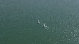 6K aerial stock footage of tracking sailboats on San Francisco Bay, California Aerial Stock Footage | AX0175_0210