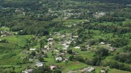 4.8K aerial stock footage of Rural neighborhood with lush green grass and trees, Vega Baja, Puerto Rico  Aerial Stock Footage | AX101_043