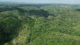 4.8K aerial stock footage Flying over tree covered mountains and jungle, Karst Forest, Puerto Rico Aerial Stock Footage | AX101_049E