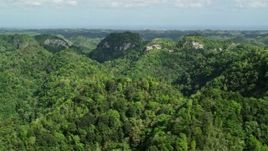 4.8K aerial stock footage Flying through lush jungle and mountains, Karst Forest, Puerto Rico Aerial Stock Footage | AX101_054
