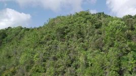 4.8K aerial stock footage Flying over lush green trees, Karst Forest, Puerto Rico Aerial Stock Footage | AX101_060