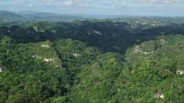 4.8K aerial stock footage Flying over the tops of thick jungle, Karst Forest, Puerto Rico  Aerial Stock Footage | AX101_063