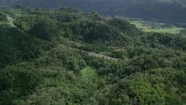 4.8K aerial stock footage of a Highway cutting through lush green forests, Karst Forest, Puerto Rico Aerial Stock Footage | AX101_076