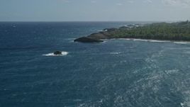 4.8K aerial stock footage of Clear blue water along a tree lined coast, Arecibo, Puerto Rico  Aerial Stock Footage | AX101_159