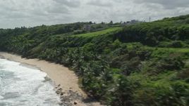 4.8K aerial stock footage of Lush vegetation along a beach, Manati, Puerto Rico  Aerial Stock Footage | AX101_191