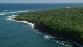 4.8K aerial stock footage of flying over stunning blue waters along a tree lined coast, Manati, Puerto Rico Aerial Stock Footage | AX101_195E
