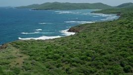 4.8K aerial stock footage of a Rugged coastline of a tree covered island in blue waters, Culebra, Puerto Rico Aerial Stock Footage | AX102_107E