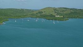 4.8K aerial stock footage of Sailboats in sapphire blue waters along a tree filled coast, Culebra, Puerto Rico Aerial Stock Footage | AX102_168
