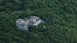 4.8K aerial stock footage of Hillside mansion surrounded by trees, Northside, St Thomas  Aerial Stock Footage | AX102_290