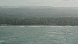 4.8K aerial stock footage of Jungle by Caribbean beach, Rio Grande, Puerto Rico Aerial Stock Footage | AX103_130
