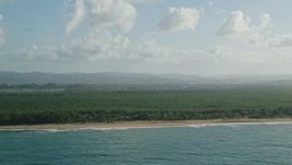 4.8K aerial stock footage of a Beachside Caribbean jungle and turquoise blue waters, Loiza, Puerto Rico Aerial Stock Footage | AX103_139E