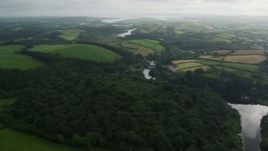 5.5K aerial stock footage of fields and trees by the Quoile River, Downpatrick, Northern Ireland Aerial Stock Footage | AX113_167