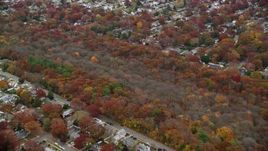 5.5K aerial stock footage approach trees in a nature preserve in Autumn, Seaford, New York Aerial Stock Footage | AX117_052E