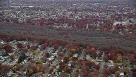 5.5K aerial stock footage of a view of nature preserve trees in Autumn, Massapequa, New York Aerial Stock Footage | AX117_054