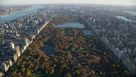 5.5K aerial stock footage of flying over Central Park with Autumn leaves at sunrise in New York City Aerial Stock Footage | AX118_190