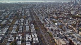 5.5K aerial stock footage of tree-lined city street through Brooklyn in Autumn, New York City Aerial Stock Footage | AX120_081