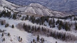 5.5K aerial stock footage approach trees on a snowy mountain ridge at sunrise in Utah's Wasatch Range Aerial Stock Footage | AX124_136