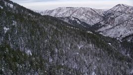5.5K aerial stock footage fly over evergreens on snowy mountain slopes at sunrise in the Wasatch Range, Utah Aerial Stock Footage | AX124_155E