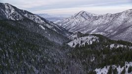 5.5K aerial stock footage fly over snowy forest on mountain slopes at sunrise in the Wasatch Range, Utah Aerial Stock Footage | AX124_158E