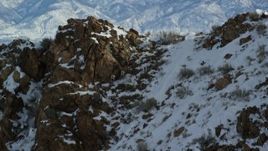 5.5K aerial stock footage track bighorn sheep racing up a snowy mountain slope in winter on Antelope Island, Utah Aerial Stock Footage | AX125_064