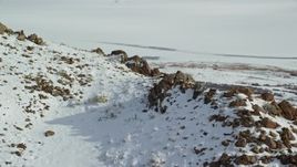 5.5K aerial stock footage approach bighorn sheep on a rocky mountain slope of winter snow, Antelope Island, Utah Aerial Stock Footage | AX125_075