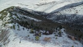 5.5K aerial stock footage of orbiting snowy slopes with evergreens in the Oquirrh Mountains of Utah Aerial Stock Footage | AX125_160