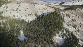 5.5K aerial stock footage fly over evergreen snow forest in the Wasatch Range of Utah Aerial Stock Footage | AX126_284