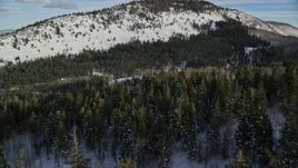 5.5K aerial stock footage fly over evergreen trees with winter snow in the Wasatch Range, Utah Aerial Stock Footage | AX126_285E