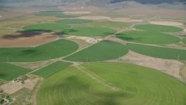 5.5K aerial stock footage of flying by large field of circular crop fields, Elberta, Utah Aerial Stock Footage | AX130_105E