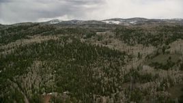 5.5K aerial stock footage of flying by evergreen forests, aspen trees on mountain slopes, Fishlake National Forest, Utah Aerial Stock Footage | AX130_201E