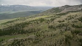 5.5K aerial stock footage fly over tree-covered mountain slopes, valley in the distance, Fishlake National Forest, Utah Aerial Stock Footage | AX130_203E