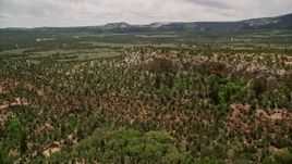 5.5K aerial stock footage pan from mesa, fly over a valley, Dixie National Forest, Utah Aerial Stock Footage | AX130_345E