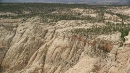 5.5K aerial stock footage an approach to top of a canyon, desert vegetation, trees, Grand Staircase-Escalante National Monument, Utah Aerial Stock Footage | AX130_386E