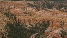 5.5K aerial stock footage of hoodoos, narrow canyon with trees, desert vegetation, Bryce Canyon National Park, Utah Aerial Stock Footage | AX130_455