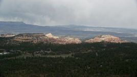5.5K aerial stock footage of flying by green forest, mesas in the background, Bryce Canyon National Park, Utah Aerial Stock Footage | AX131_006