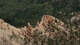 5.5K aerial stock footage of flying by hoodoos, revealing forested valley, Bryce Canyon National Park, Utah Aerial Stock Footage | AX131_017