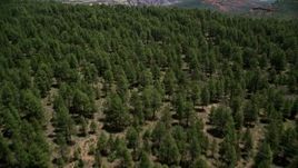 5.5K aerial stock footage of flying over Manti-LA Sal National Forest, tilt to reveal Arch Canyon, Utah Aerial Stock Footage | AX136_138E